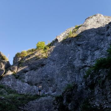 Birów, EmiZtg