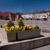 Rynek w Olkuszu
