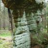 , Marcin M