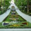 Park Zdrojowy w Polanicy, Marcin M
