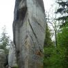 , Marcin M