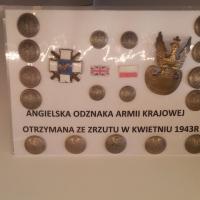 , Angelika Krajewska