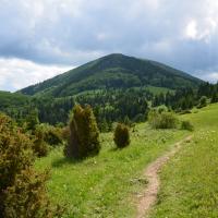 widać Stoh, Maciej A