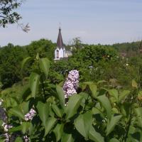 widok z Góry Zamkowej na cerkiew, Joanna