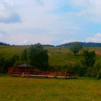 Nie tędy..., kristofhetvenharom