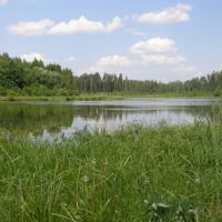 zbiornik wodny Wyżary, Joanna