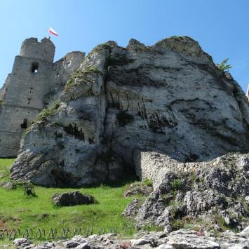 Jura Krakowsko - Częstochowska - zdjęcie