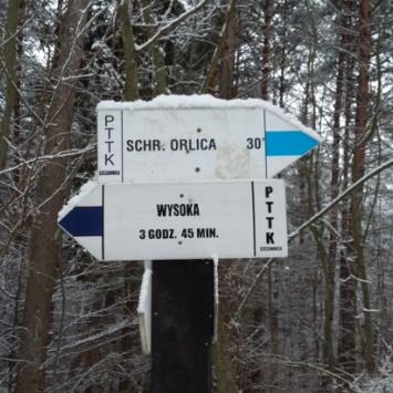 , DoRi