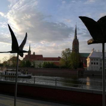 Wrocław, Anja