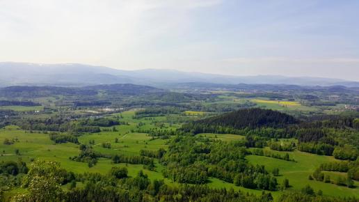 Widok z Krzyżnej Góry, EmiZtg