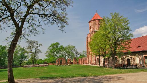 Zamek w Toszku