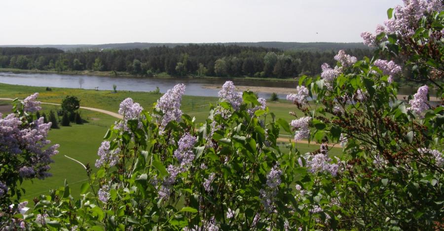 Nadbużańskie Podlasie - zdjęcie
