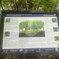 Tablica informacyjna, Małgorzata