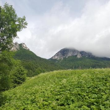 Na polanie Podziar, EmiZtg
