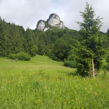Na polanie Podziar, EmiZtg