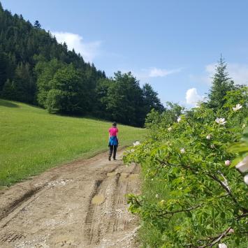 Na polanie Podziar, EmiZtg
