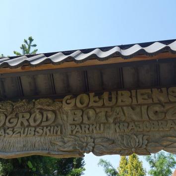 Gołubieński Ogród Botaniczny, allie