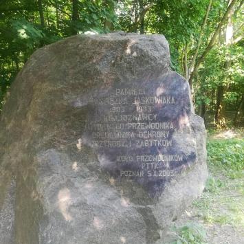 Rezerwat Meteoryt Morasko - zdjęcie