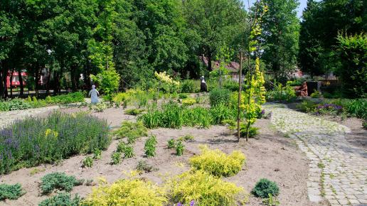 Miniarboretum w Bytomiu