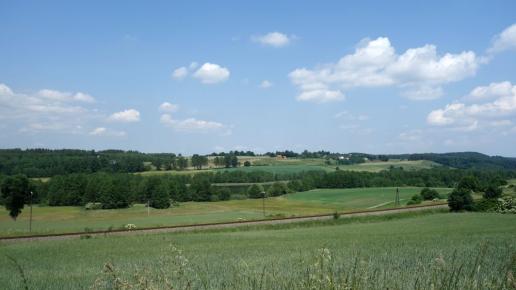 Widok na okolicę Gołubia, allie