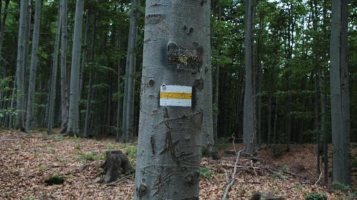 , Sławko