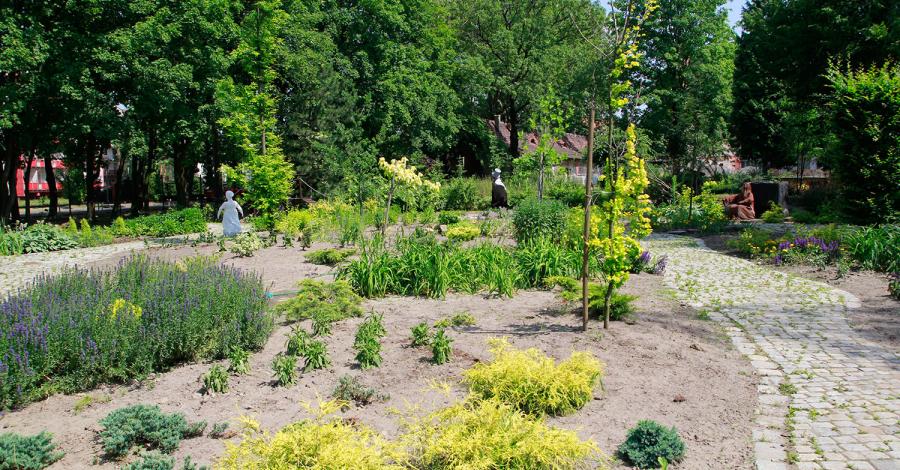 Miniarboretum w Bytomiu - zdjęcie