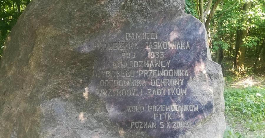 Rezerwat Meteoryt Morasko - zdjęcie
