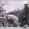 Tallin Stare Miasto, Fasola na Szlaku
