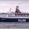 Tallin ... w porcie nad Zatoką Talinnską, Fasola na Szlaku