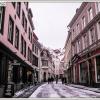 Tallin Stare Miasto, Fasola na Szlaku