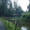 Staw parkowy, EmiZtg