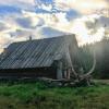 Widokowo - na Hali Baraniej, Fasola na Szlaku