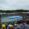 Ocean Park Sarbsk, Maciej A