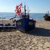 , Anja