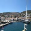 Hydra, marian