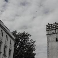 , Fasola na Szlaku