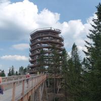 , Piotr Galas