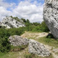 Skały Rzędkowickie na Jurze