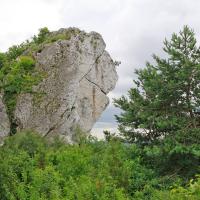 Skały Rzędkowickie na Jurze