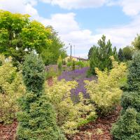 Śląski Ogród Botaniczny w Mikołowie - Ogród Czerwony