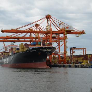 Gdynia Port, Maciej A