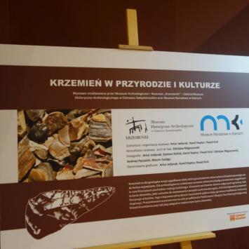 Rezerwat Krzemionki, allie