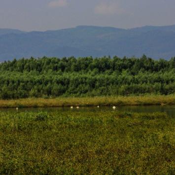 Widok na Jezioro Żywieckie i okolice ..., Fasola na Szlaku