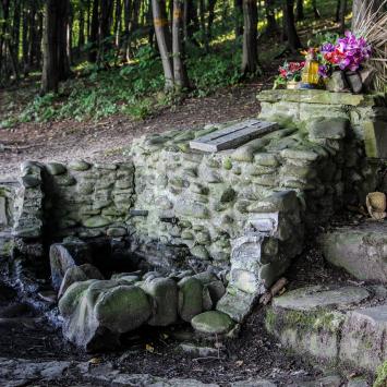Źródełko Św.Wita nad Jeziorem Żywieckim, Fasola na Szlaku