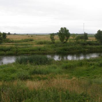 widok na Dolinę Narwi z grodziska w Surażu, Joanna