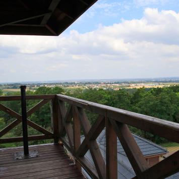 Śląski Ogród Botaniczny w Mikołowie - Ogród Żółty