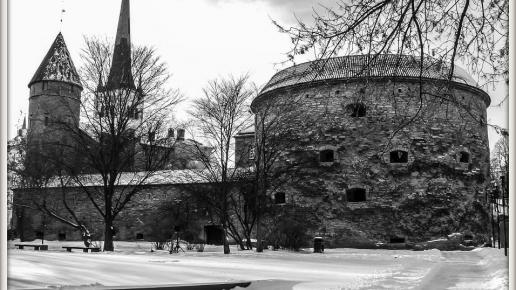 Tallin Stare Miasto, Fasola na Szlaku