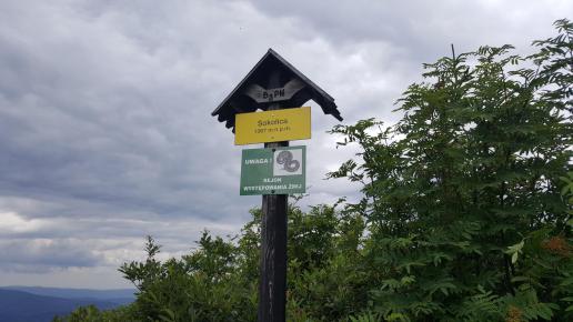 Sokolica, EmiZtg