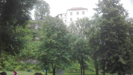 , mirosław
