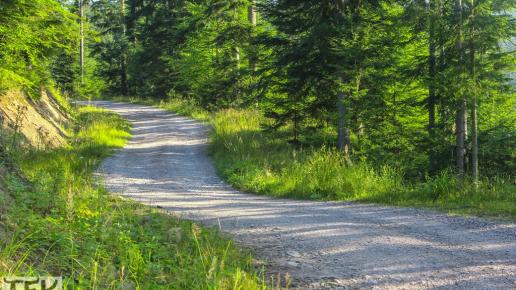 Żabnica Skałka -> Skrzyżowanie przy Słowiance, Fasola na Szlaku